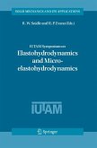 IUTAM Symposium on Elastohydrodynamics and Micro-elastohydrodynamics (eBook, PDF)