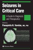 Seizures in Critical Care (eBook, PDF)