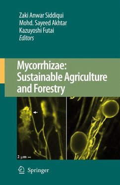 Mycorrhizae: Sustainable Agriculture and Forestry (eBook, PDF)