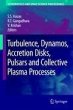 Turbulence, Dynamos, Accretion Disks,... - Bild 1