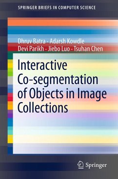 Interactive Co-segmentation of Objects in Image Collections (eBook, PDF) - Batra, Dhruv; Kowdle, Adarsh; Parikh, Devi; Luo, Jiebo; Chen, Tsuhan