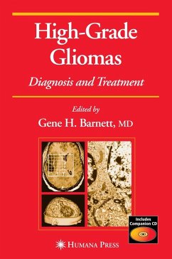 High-Grade Gliomas (eBook, PDF)