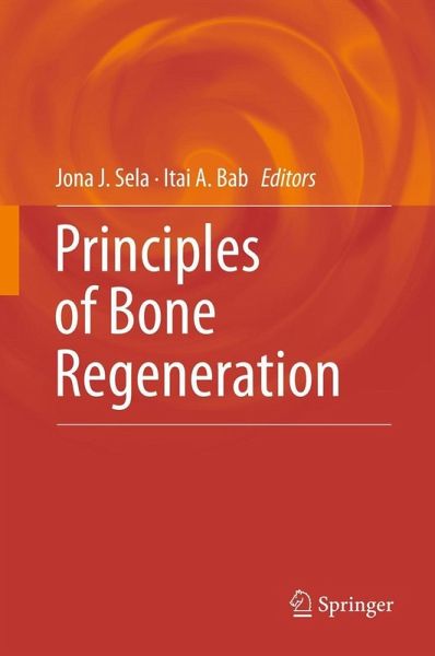 Principles of Bone Regeneration (eBook, PDF)