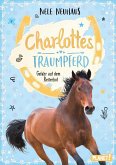 Gefahr auf dem Reiterhof / Charlottes Traumpferd Bd.2 (eBook, ePUB)