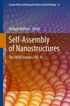 Self-Assembly of Nanostructures (eBook, PDF)