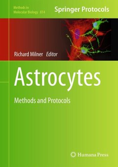 Cover Astrocytes (eBook, PDF)