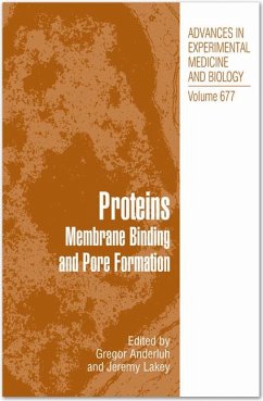 Proteins (eBook, PDF)