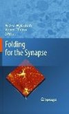 Folding for the Synapse (eBook, PDF)