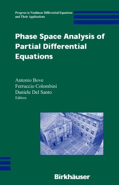 Phase Space Analysis of Partial Differential Equations (eBook, PDF)