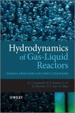 Hydrodynamics of Gas-Liquid Reactors (eBook, ePUB)