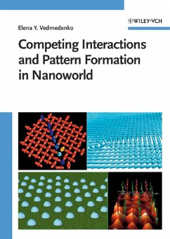 Competing Interactions and Patterns in Nanoworld (eBook, PDF) - Vedmedenko, Elena
