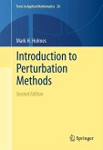 Introduction to Perturbation Methods (eBook, PDF)