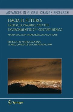 Hacia el Futuro (eBook, PDF) - Ibarrarán, Maria Eugenia; Boyd, Roy