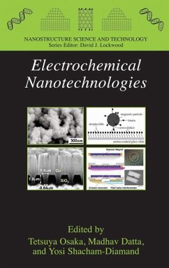 Electrochemical Nanotechnologies (eBook, PDF)