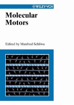 Cover Molecular Motors (eBook, PDF)