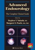 Advanced Endourology (eBook, PDF)