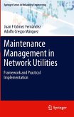 Maintenance Management in Network Utilities (eBook, PDF)