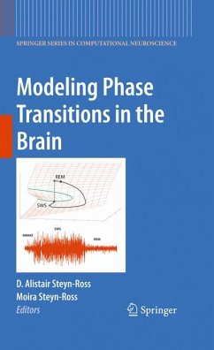 Modeling Phase Transitions in the Brain (eBook, PDF)