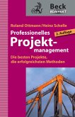 Professionelles Projektmanagement (eBook, ePUB)