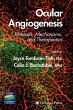 Ocular Angiogenesis (eBook, PDF) - Bild 1