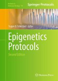 Epigenetics Protocols (eBook, PDF)