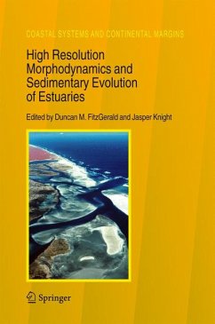High Resolution Morphodynamics and Sedimentary Evolution of Estuaries (eBook, PDF)