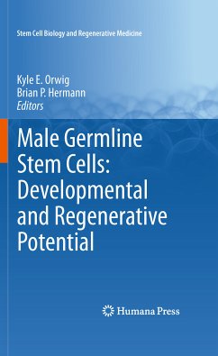 Male Germline Stem Cells: Developmental and Regenerative Potential (eBook, PDF)