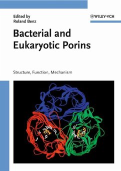 Bacterial and Eukaryotic Porins (eBook, PDF)