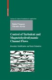 Control of Turbulent and Magnetohydrodynamic Channel Flows (eBook, PDF)
