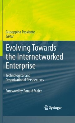 Evolving Towards the Internetworked Enterprise (eBook, PDF)