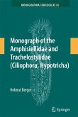 Monograph of the Amphisiellidae and Trachelostylidae (Ciliophora, Hypotricha) (eBook, PDF)