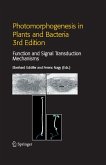 Photomorphogenesis in Plants and Bacteria (eBook, PDF)