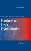 Femtosecond Laser Filamentation (eBook, PDF)