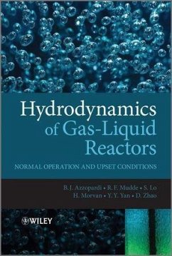 Hydrodynamics of Gas-Liquid Reactors (eBook, PDF) - Azzopardi, Barry; Zhao, Donglin; Yan, Y.; Morvan, H.; Mudde, R. F.; Lo, Simon