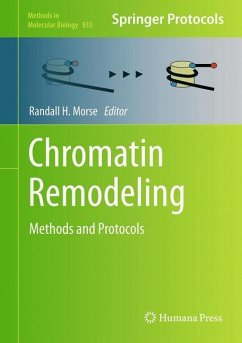 Chromatin Remodeling (eBook, PDF)