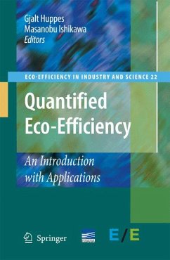 Quantified Eco-Efficiency (eBook, PDF)