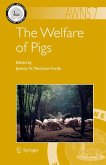 The Welfare of Pigs (eBook, PDF)