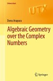 Algebraic Geometry over the Complex Numbers (eBook, PDF)