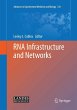 RNA Infrastructure and Networks (eBook,... - Bild 1