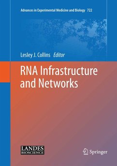 RNA Infrastructure and Networks (eBook, PDF)