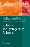 Fulleranes (eBook, PDF)