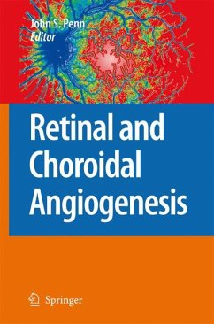 Retinal and Choroidal Angiogenesis (eBook, PDF)