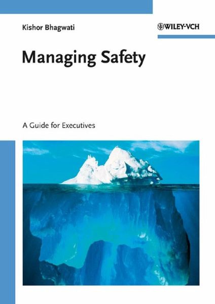 Managing Safety (eBook, PDF) Managing Safety (eBook, PDF)