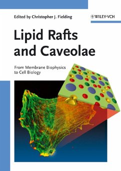 Lipid Rafts and Caveolae (eBook, PDF)