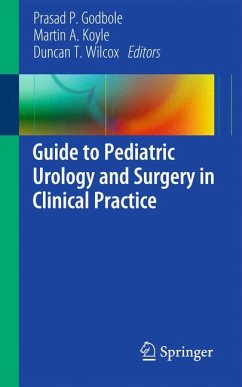 Guide to Pediatric Urology and Surgery in Clinical Practice (eBook, PDF)