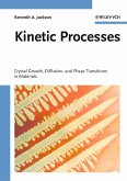 Kinetic Processes (eBook, PDF)