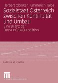 Sozialstaat Österreich zwischen Kontinuität und Umbau (eBook, PDF)