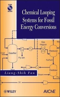 Chemical Looping Systems for Fossil Energy Conversions (eBook, ePUB) - Fan, Liang-Shih