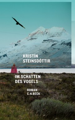 Im Schatten des Vogels (eBook, ePUB) - Steinsdóttir, Kristín