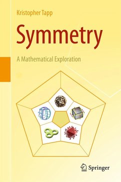 Cover Symmetry (eBook, PDF)